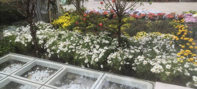 拾忆民宿(览廊分店)图片