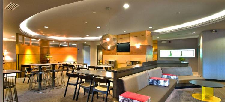 路易斯威尔赫斯特波/北部 SpringHill Suites 酒店(SpringHill Suites Louisville Airport)图片