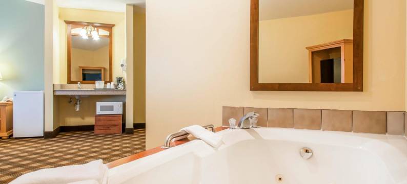 伊克诺旅馆套房酒店(Econo Lodge Inn & Suites)图片