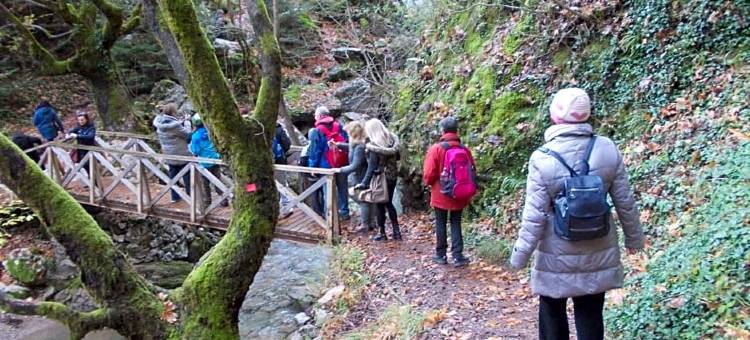 情调乡村度假酒店(Emotions Country Resort)图片