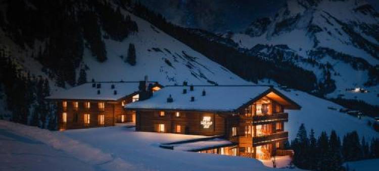 豪华阿尔卑斯小木屋(Lux Alp Chalet am Arlberg)图片