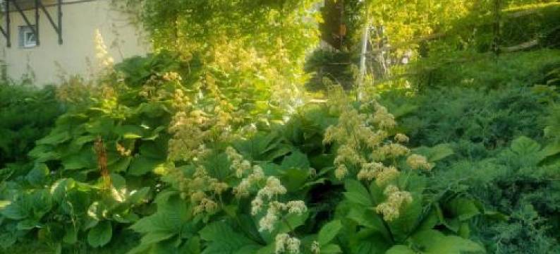 Lossi 8 -4 Põltsamaa Maida图片