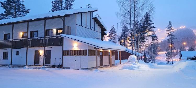 布里克索哥斯塔赫哥酒店(Break Sokos Hotel Tahko)图片