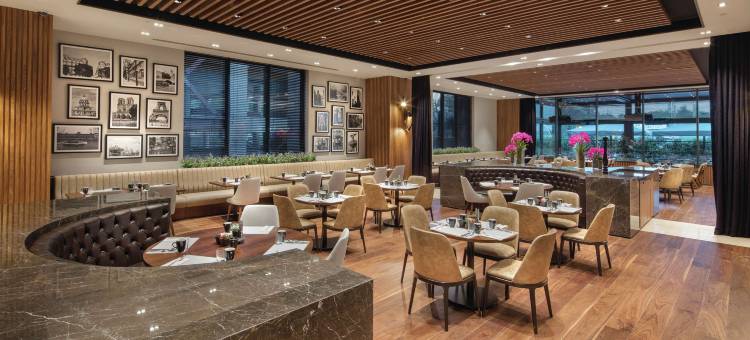 伊斯坦布尔马斯拉克希尔顿酒店(Hilton Istanbul Maslak)图片