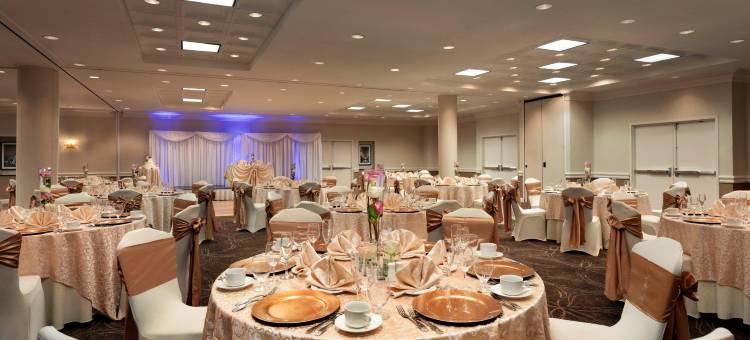 华盛顿·杜勒斯机场假日酒店(Holiday Inn Washington-Dulles Intl Airport)图片