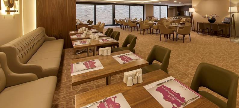 安卡拉海葵酒店(Anemon Kent Ankara Otel)图片