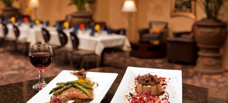 拉伯克希尔顿安泊套房酒店(Embassy Suites by Hilton Lubbock)图片