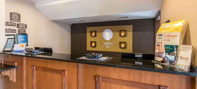 舒适酒店及套房-巴拿马城北部(Comfort Inn & Suites Panama City North)图片