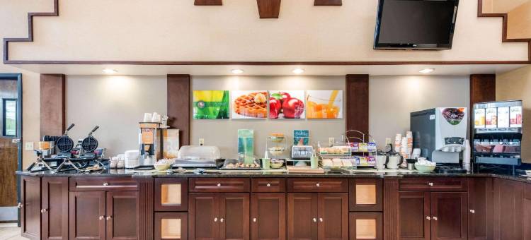 塔彭斯普林斯南凯艺套房酒店(Quality Inn & Suites Tarpon Springs South)图片