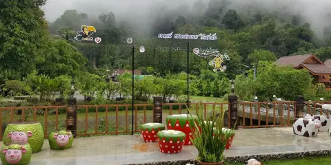 考索克雨林度假村