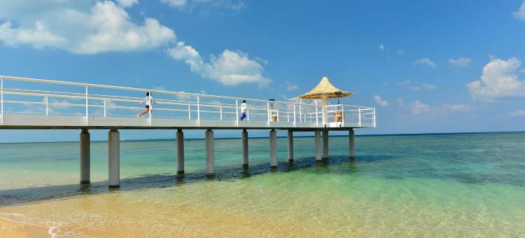 富崎海滩度假村酒店及别墅(Fusaki Beach Resort Hotel & Villas)图片