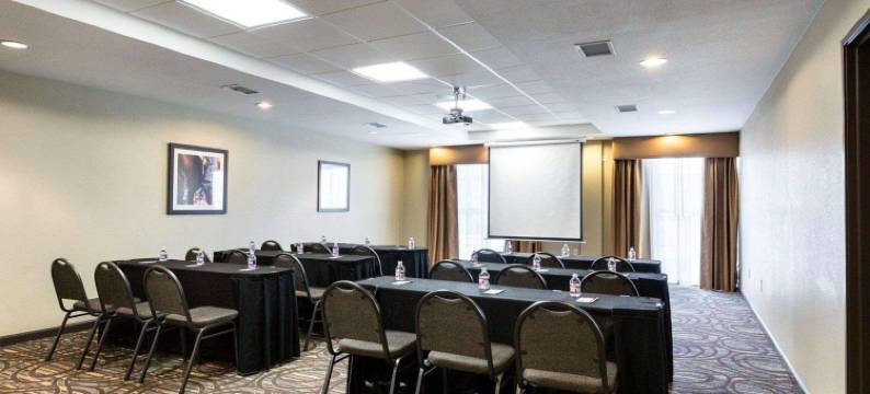 舒适套房酒店-近韦斯特彻斯8号环城路(Comfort Suites near Westchase on Beltway 8)图片