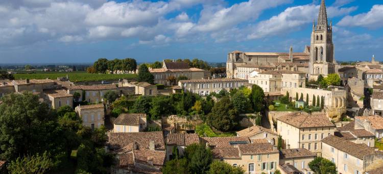 基里亚德酒店-南波尔多瑟斯塔(Kyriad Direct Bordeaux Sud - Cestas)图片