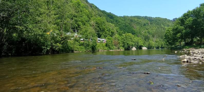 La Villa "les Pieds Dans l'eau"图片