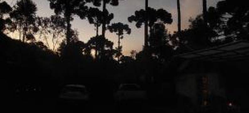 弗拉德埃斯特拉达木屋(Chalés Fora de Estrada)图片