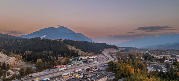 Holiday Inn Express 金(Holiday Inn Express Golden-Kicking Horse)图片