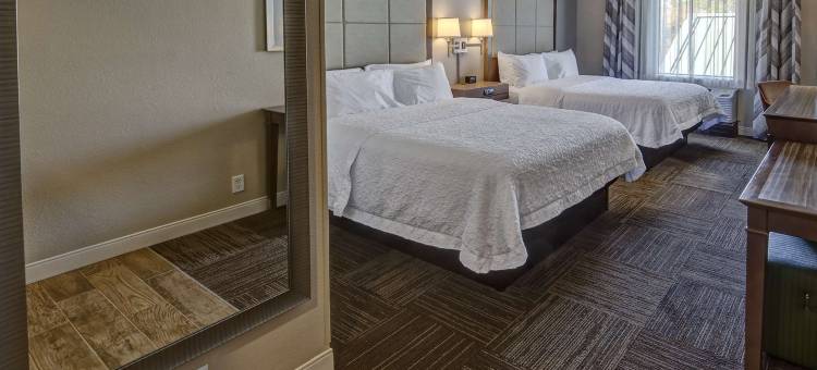 希尔顿欢朋酒店-温特黑文(Hampton Inn Winter Haven)图片