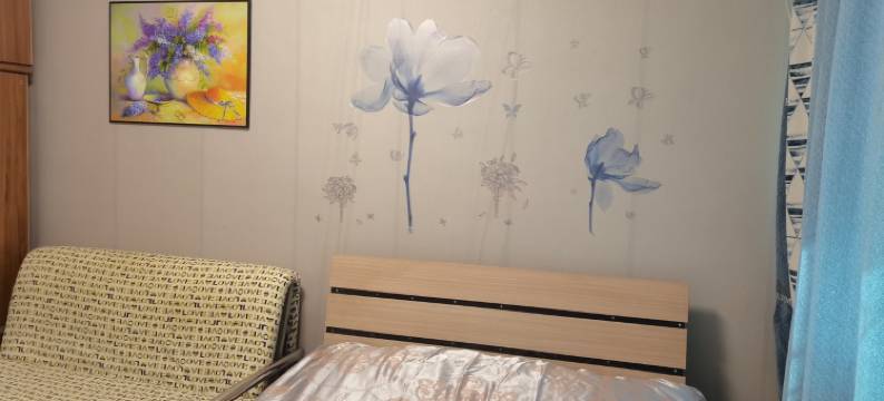 小小兰花草公寓(紫金路分店)图片