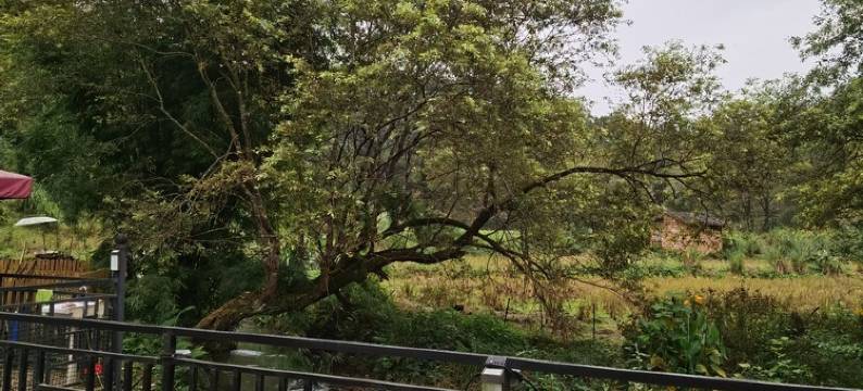 青山窝大掌柜特色民宿图片