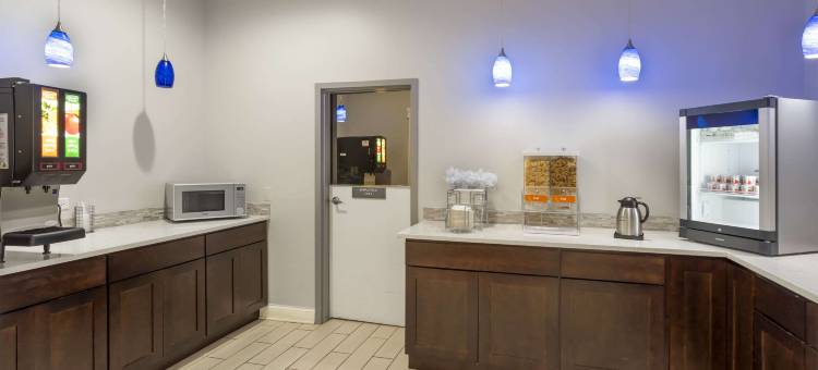 曼德林 - 弗农希尔斯舒适套房酒店(Comfort Inn & Suites Mundelein-Vernon Hills)图片