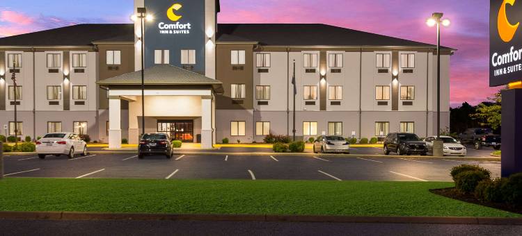 舒适套房酒店(Comfort Inn & Suites)图片