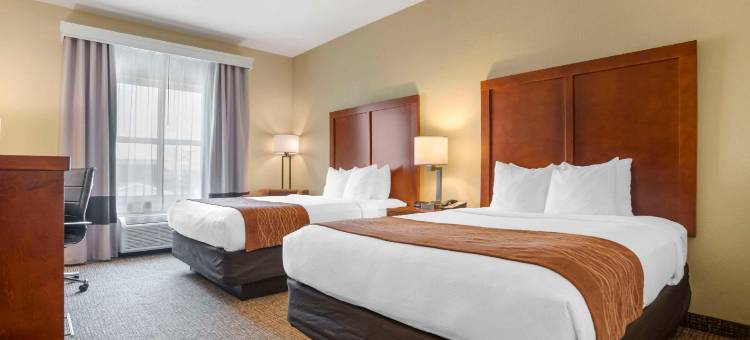 代弗尼西班牙堡舒适酒店及套房 - 移动东(Comfort Inn & Suites Daphne Spanish Fort - Mobile East)图片