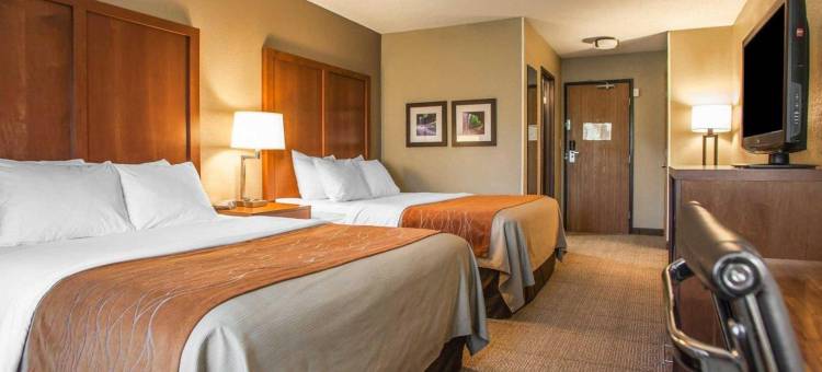 莫林-阔德城舒适酒店(Comfort Inn Moline - Quad Cities)图片