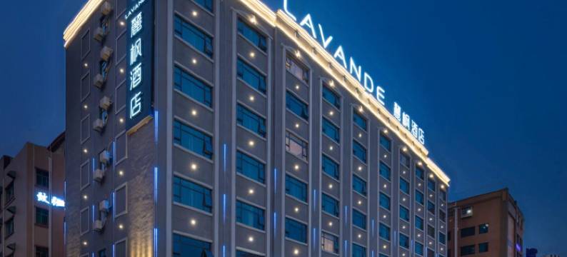 麗枫酒店(东莞大朗松山湖北站店)图片