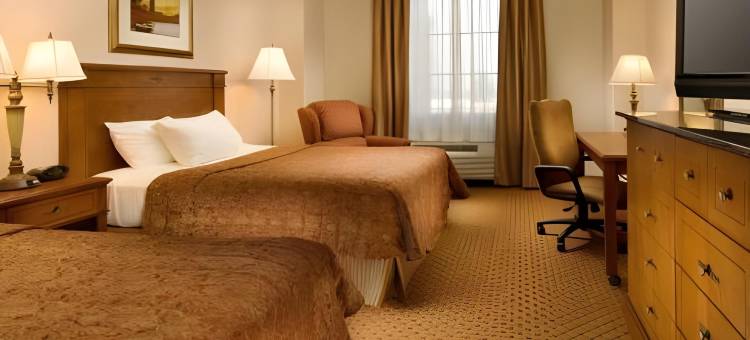塞克斯顿德鲁套房酒店(Drury Inn & Suites Sikeston)图片