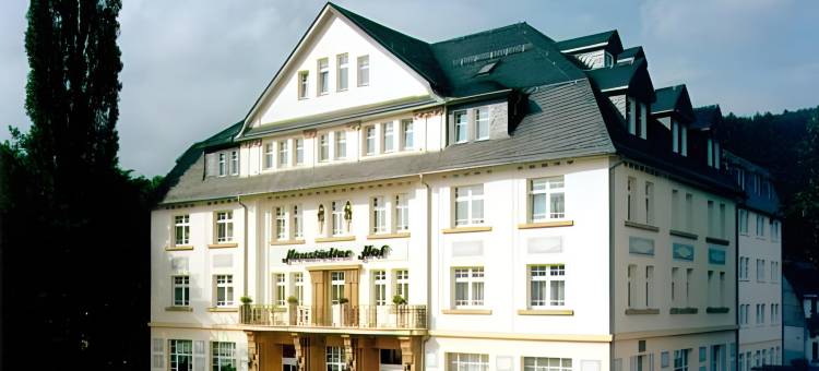 诺伊施塔特霍夫酒店(Hotel Neustädter Hof)图片