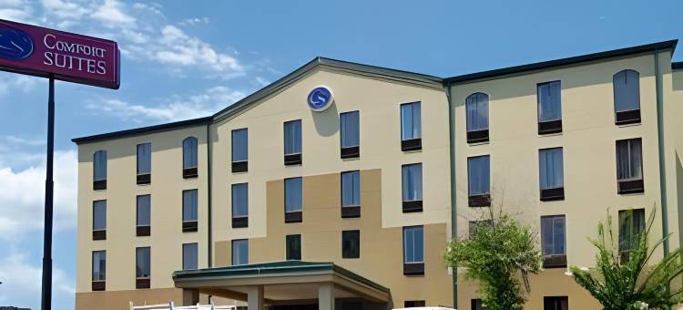 哥伦布州立大学舒适套房酒店(Comfort Suites Columbus State University Area)图片