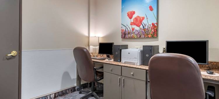 麦金尼贝斯特韦斯特优质套房酒店(Best Western Plus McKinney Inn  Suites)图片