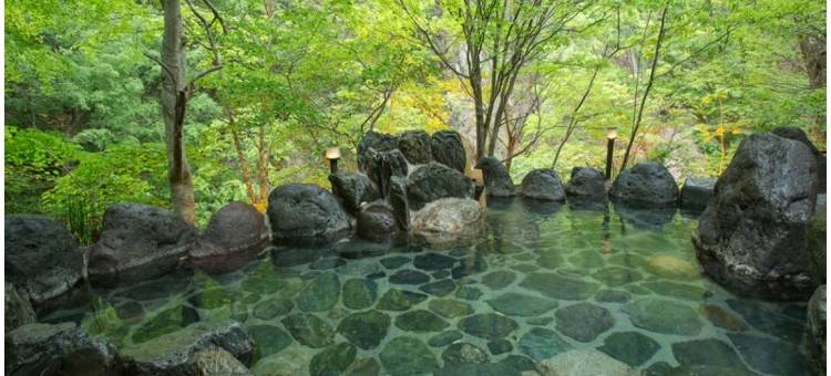 汤西川日式旅馆(Hotel Yunishigawa)图片