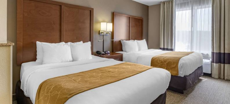 科拉尔维尔I-80舒适套房酒店(Comfort Suites Coralville I-80)图片