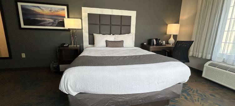 Best Western Erie Inn  Suites图片