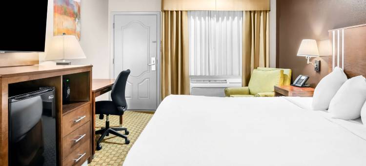 天际线贝斯特韦斯特汽车旅店(Best Western Skyline Motor Lodge)图片