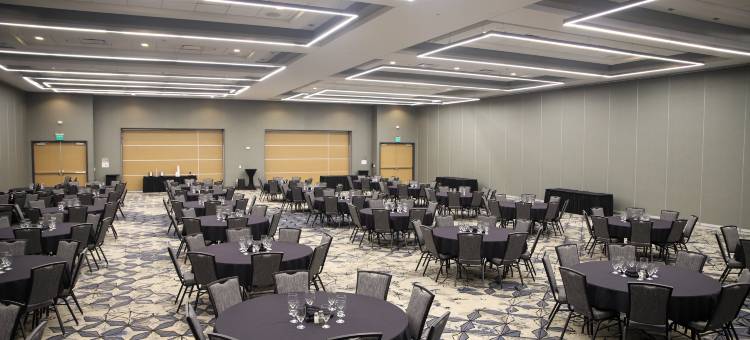 洲际酒店集团锡达福尔斯假日酒店及套房 - 滑铁卢活动中心(Holiday Inn & Suites CEDAR FALLS-WATERLOO EVENT CTR by IHG)图片