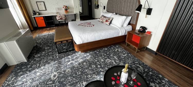 奥马哈英迪格酒店(Hotel Indigo Omaha Downtown)图片