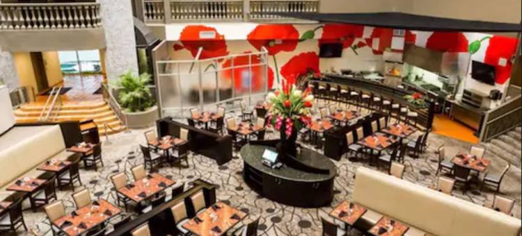 迈克艾伦希尔顿逸林套房酒店(DoubleTree Suites by Hilton McAllen)图片