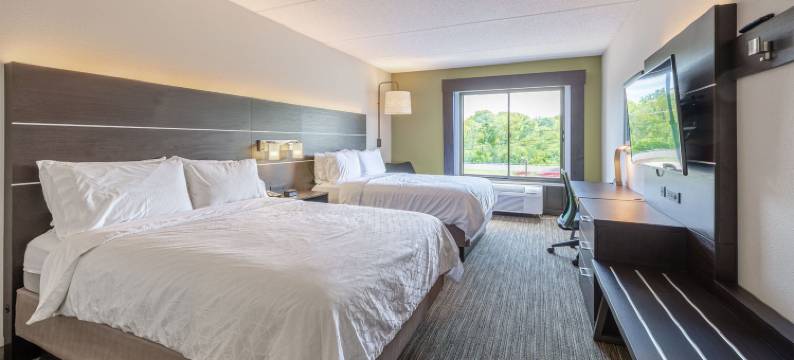 普罗斯佩克特高地智选假日套房酒店(Holiday Inn Express & Suites PROSPECT HEIGHTS by IHG)图片