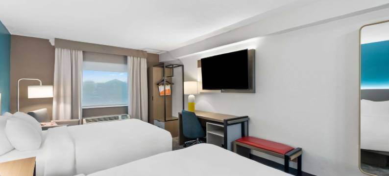 舒适酒店及套房(Comfort Inn & Suites)图片