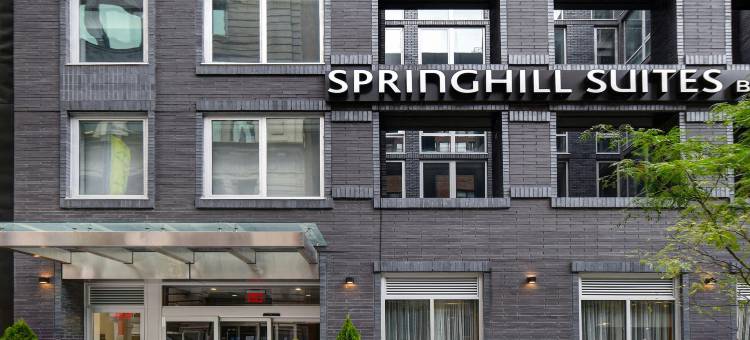 纽约曼哈顿中城/公园大道SpringHill Suites酒店(SpringHill Suites New York Midtown Manhattan/Park Avenue)图片