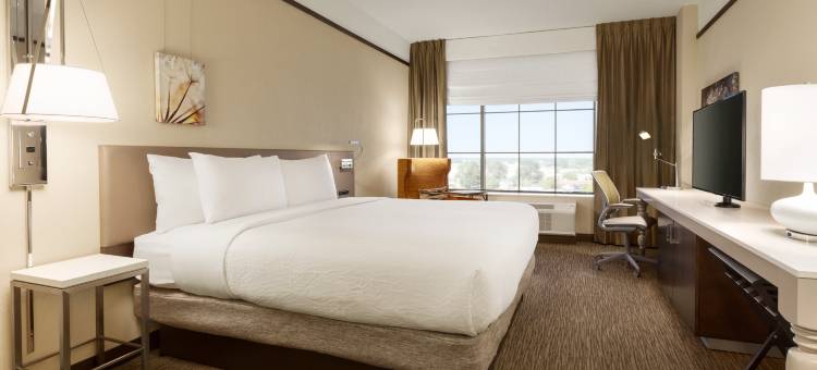 夏洛特南园希尔顿花园酒店(Hilton Garden Inn Charlotte/SouthPark)图片