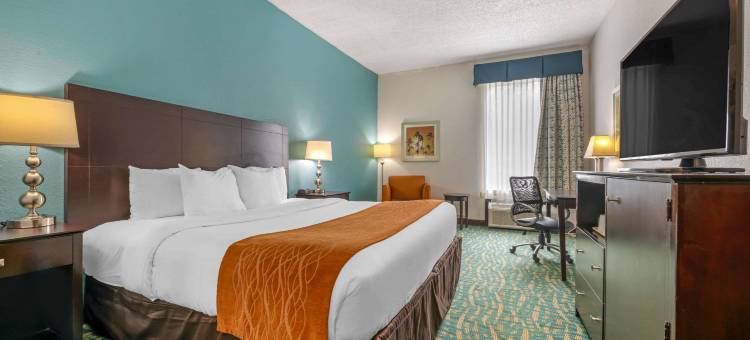 劳德代尔堡西收费高速公路舒适套房酒店(Comfort Inn & Suites Fort Lauderdale West Turnpike)图片