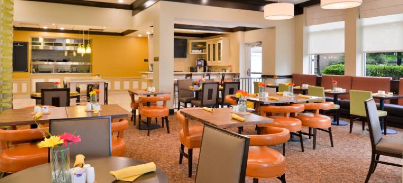 印第安纳波利斯卡梅尔希尔顿花园酒店(Hilton Garden Inn Indianapolis/Carmel)图片