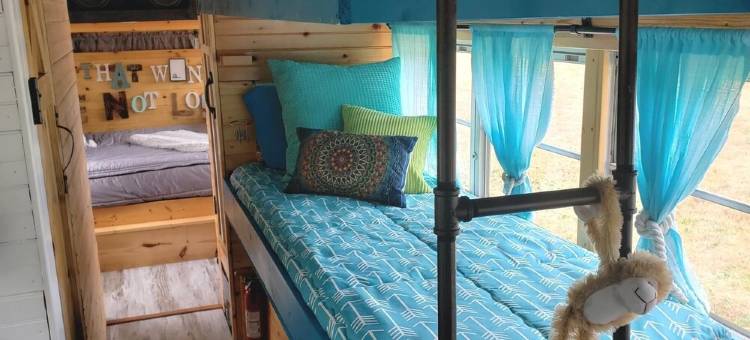 Skoolie Glamping图片