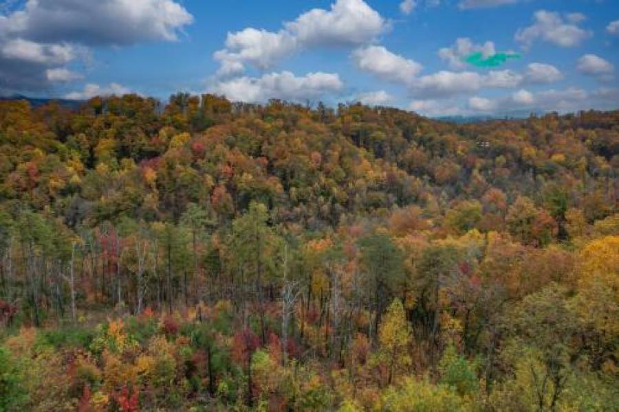 2021 Cabin - Gorgeous Fall Views, GameRm, HotTub, Xbox, Bears, Gatlinburg 10Min & Ober 5Min