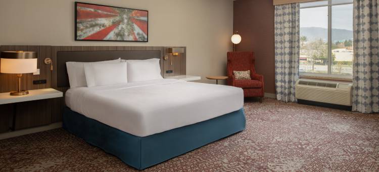方塔纳希尔顿花园酒店(Hilton Garden Inn Fontana)图片