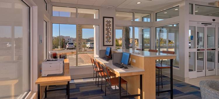 洲际酒店集团智选假日套房鸽子谷塞维尔维尔(Holiday Inn Express & Suites Pigeon Forge - Sevierville)图片