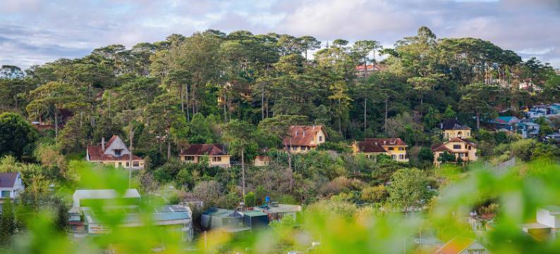 康德松套房有限公司(CANDLEPINE SUITES COMPANY LIMITED)图片